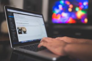 Get into WordPress and explore the potential it holds.