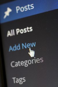WP dashboard - Add New option.