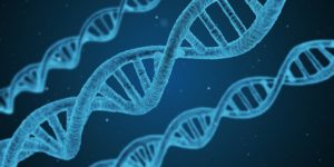 a drawing of a DNA strain