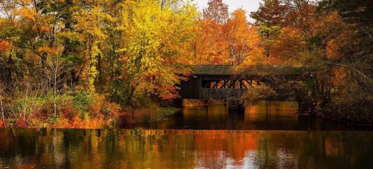 The beautiful nature of Massachusetts.