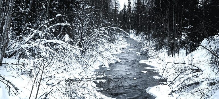 Fairbanks wilderness